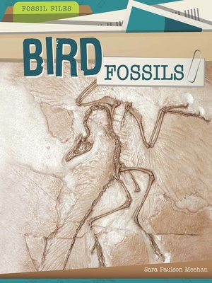 cover image of Bird Fossils